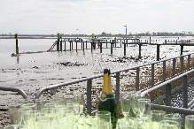 Zweiter Fähranleger, die Weser und gebrauchte Sektgläser im Vordergrund.