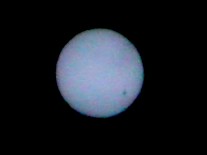 Die Venus ist vor der Sonne sichtbar (08.06.2004, 11:15Uhr. Mit 130mm Brennweite erstellt!).